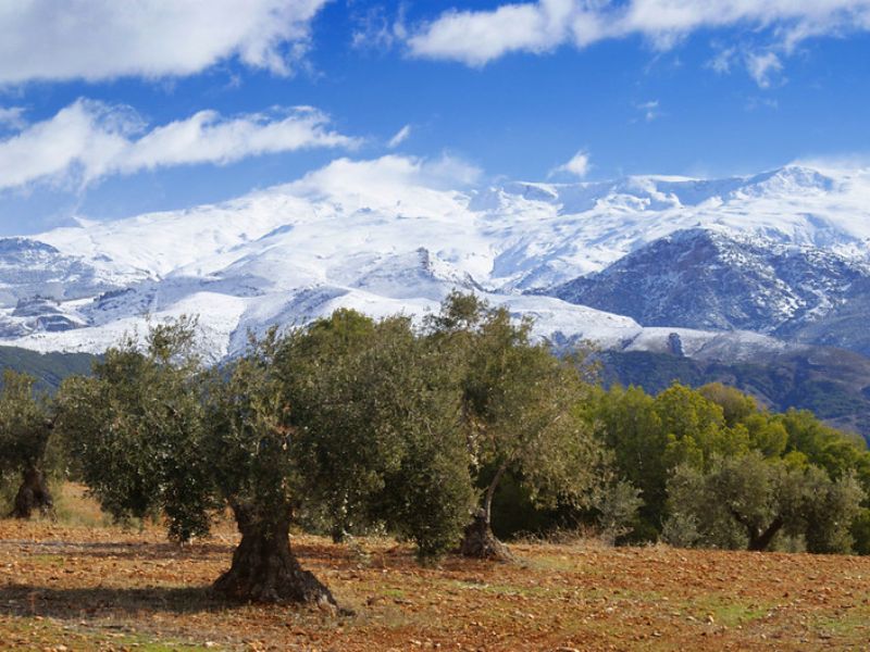 invierno en granada planes encanto llano perdiz